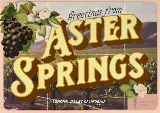 Aster Springs Postcard
